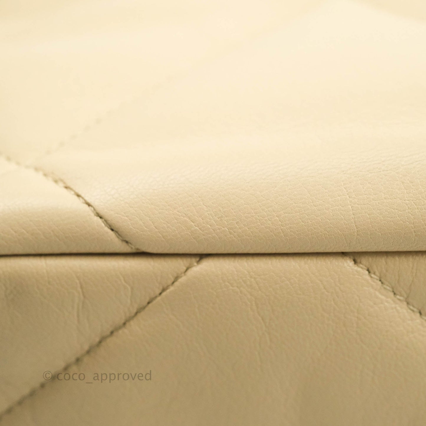Chanel 19 Medium Beige Goatskin Mixed Hardware 20A