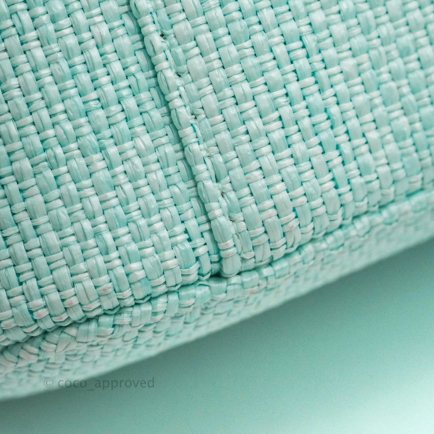 Chanel Deauville Vanity Pouch Mint Raffia Calfskin