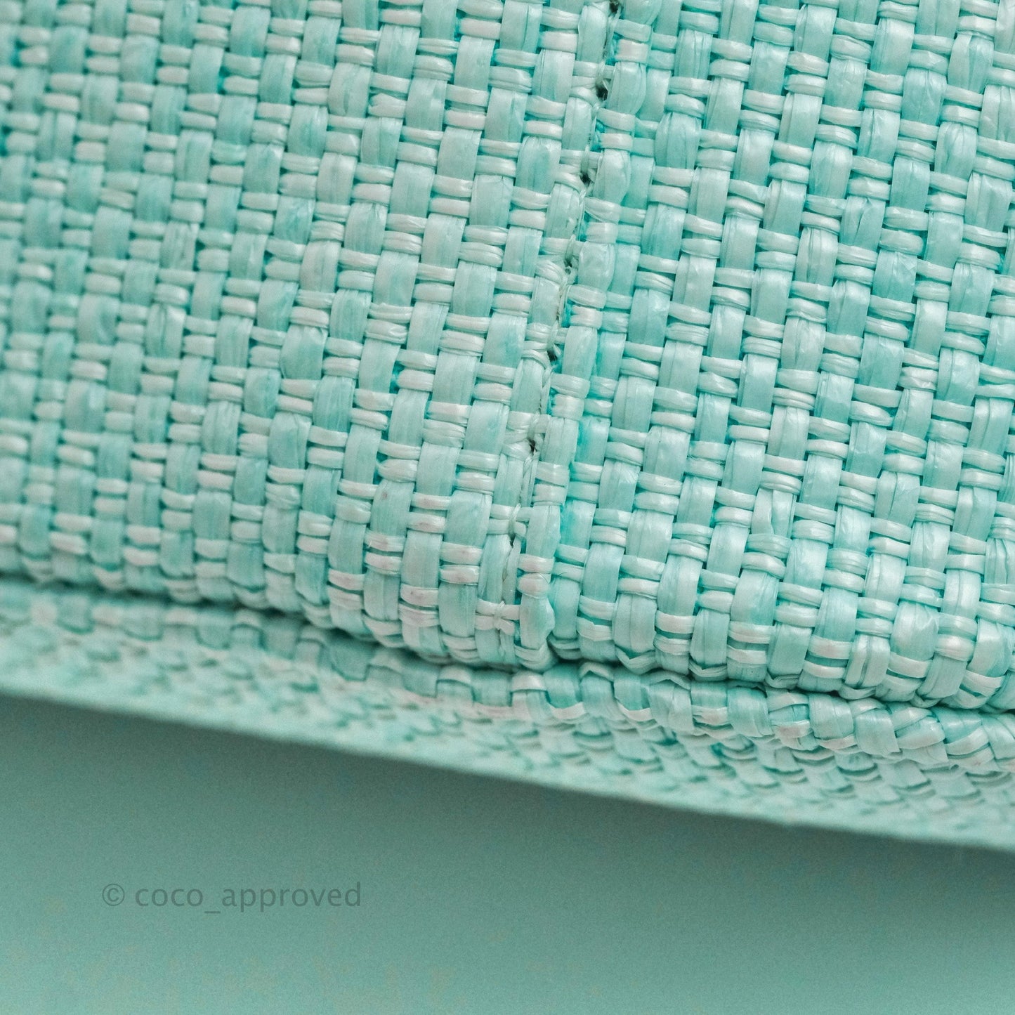 Chanel Deauville Vanity Pouch Mint Raffia Calfskin