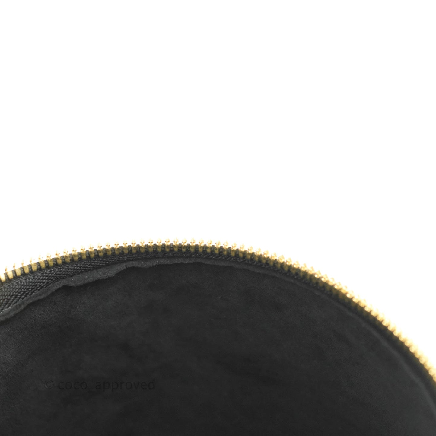 Louis Vuitton Monogram Canvas Reverse Cannes Bag