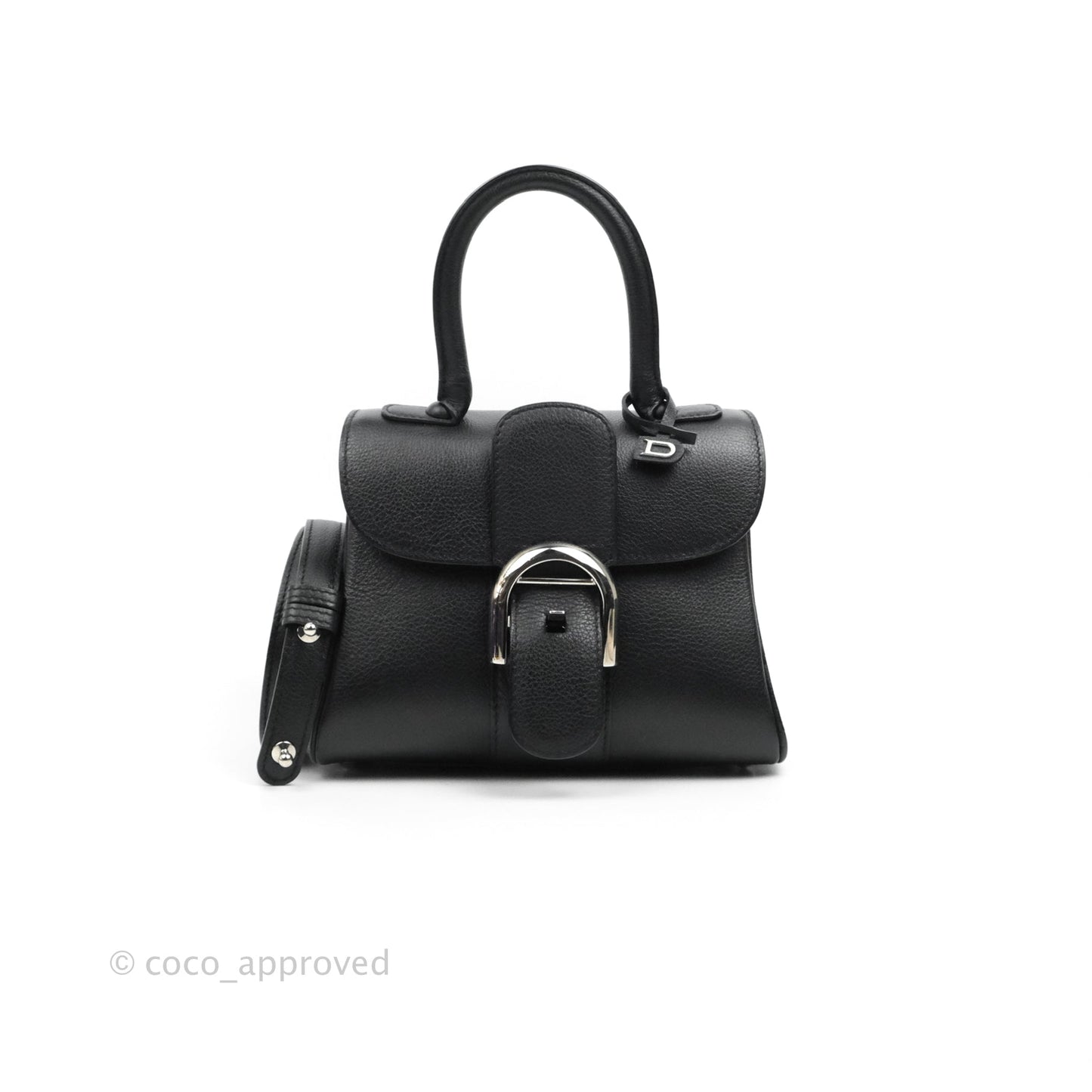 Delvaux Mini Brillant Bag Vegetal Rodeo Calf Silver Hardware