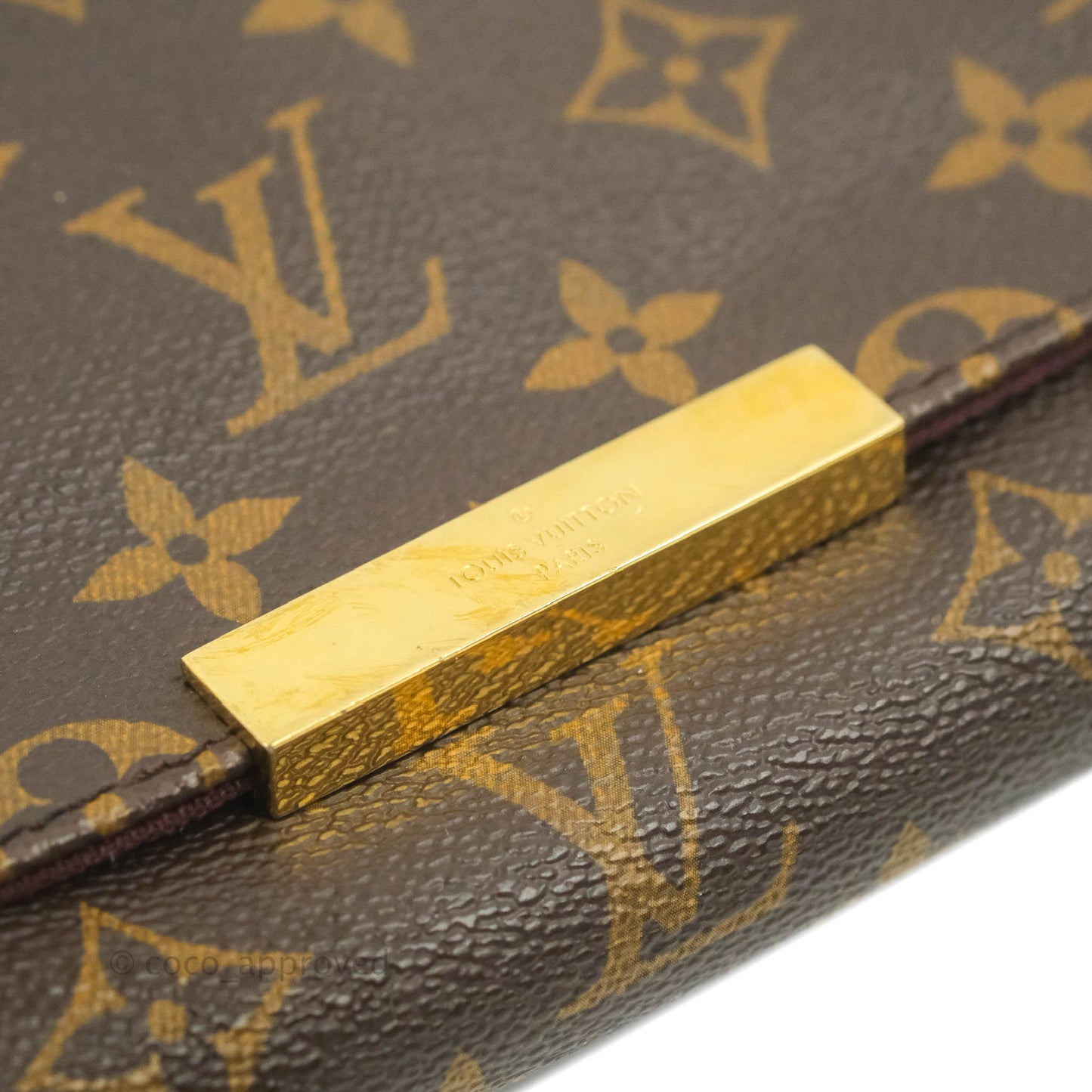 Louis Vuitton Favourite Bag PM Monogram