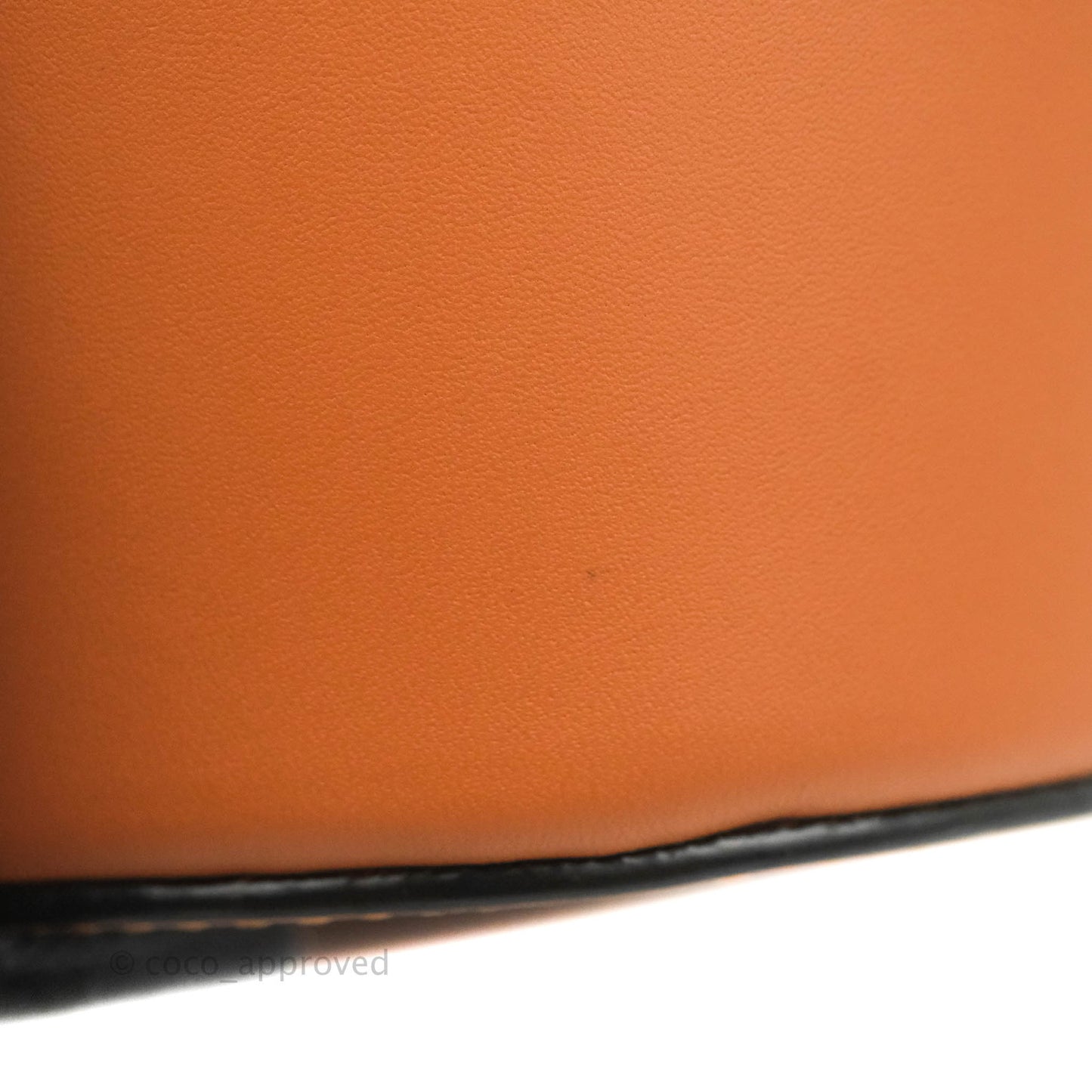 Loewe Small Balloon Bucket Bag Tan Calfskin