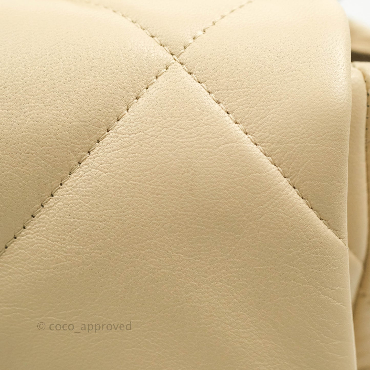 Chanel 19 Medium Beige Goatskin Mixed Hardware 20A