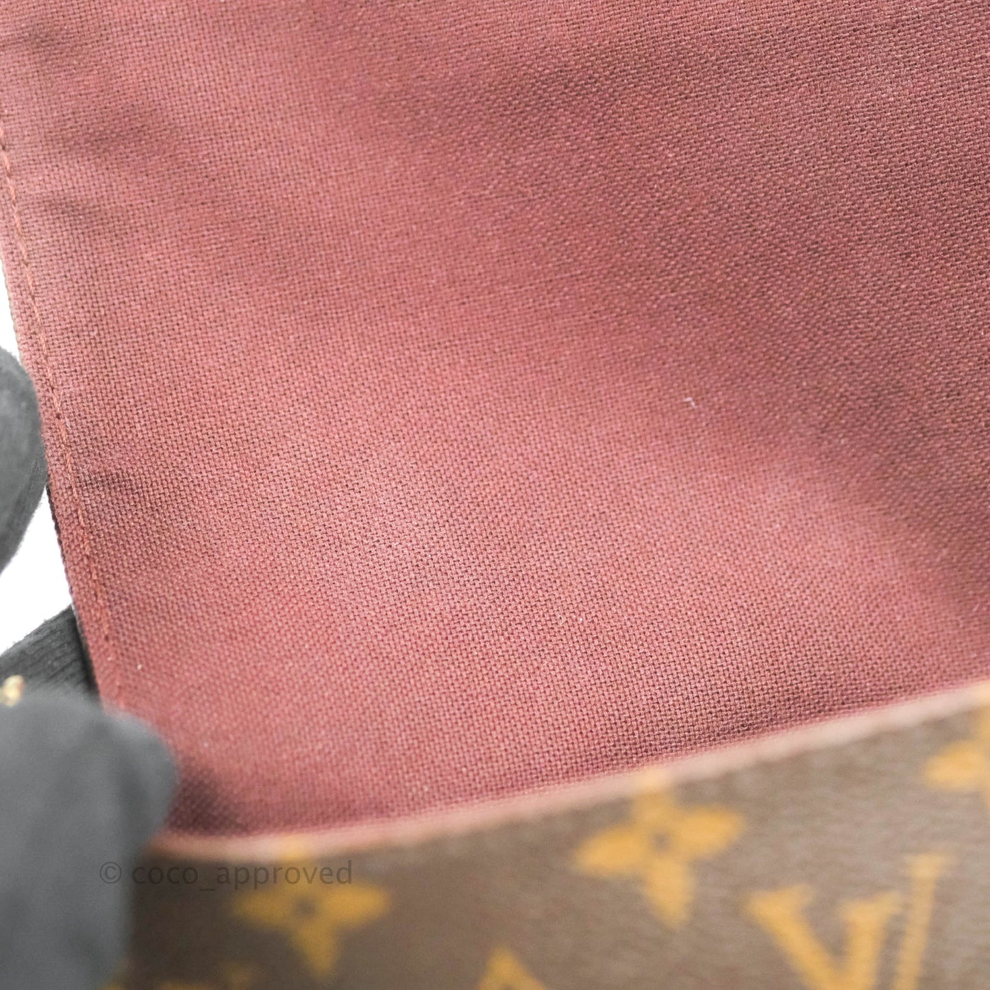 Louis Vuitton Favourite Bag PM Monogram