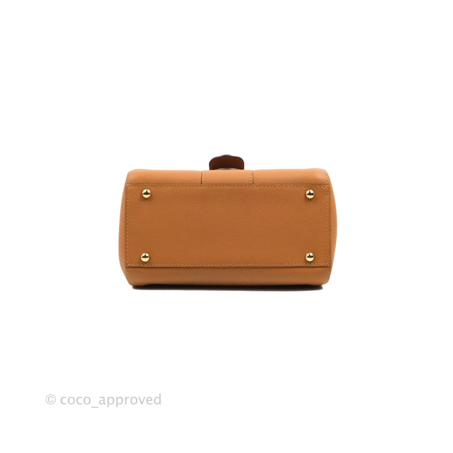 Delvaux Mini Brillant Bag Vegetal Rodeo Calf Gold Hardware