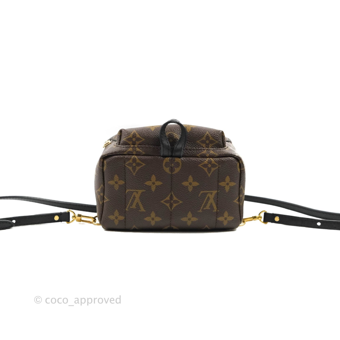 Louis Vuitton Monogram Mini Palm Springs Backpack⁣