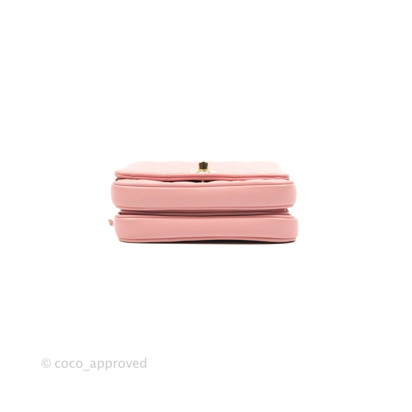 Chanel Citizen Chic Mini Flap Bag Pink Lambskin Gold Hardware