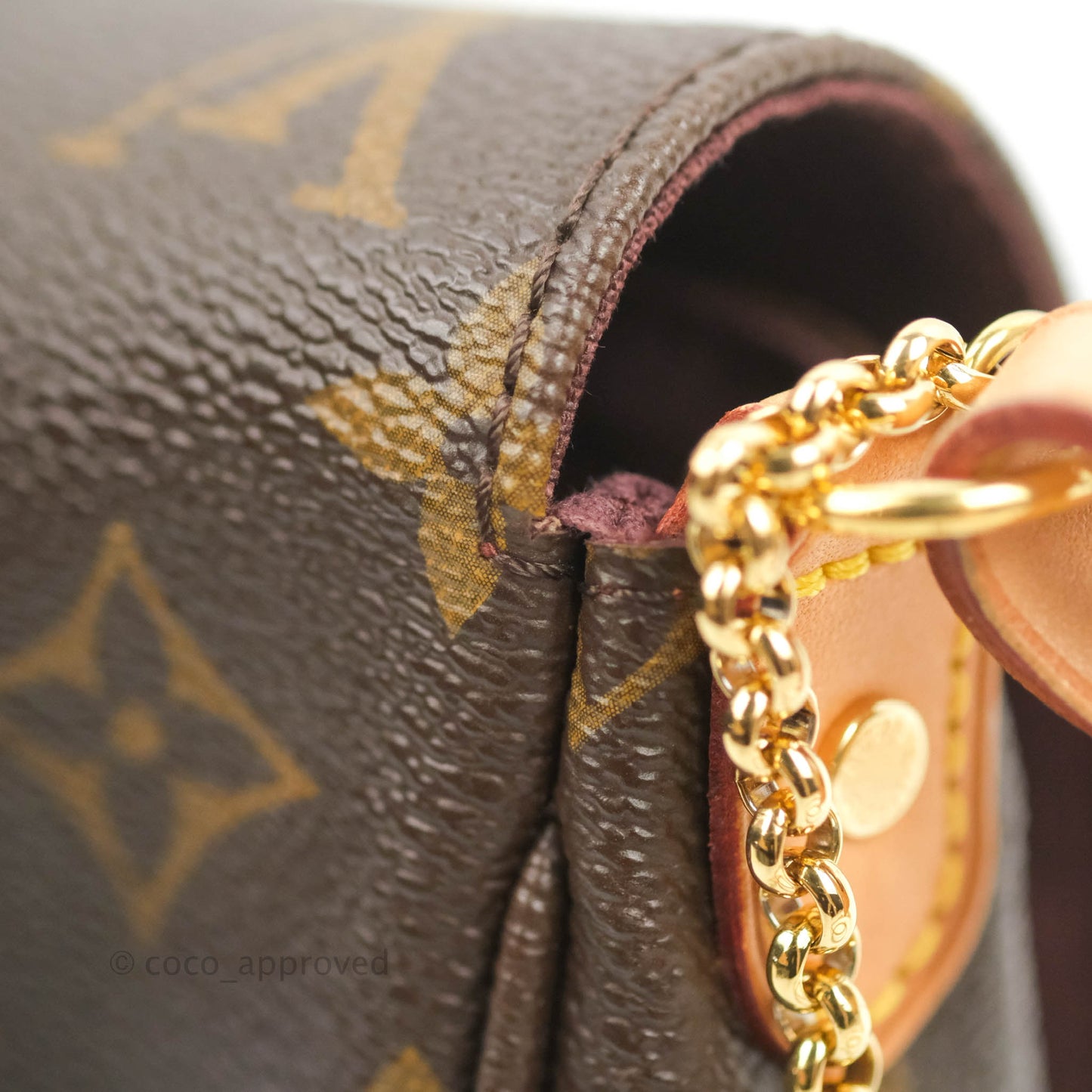 Louis Vuitton Favourite Bag PM Monogram