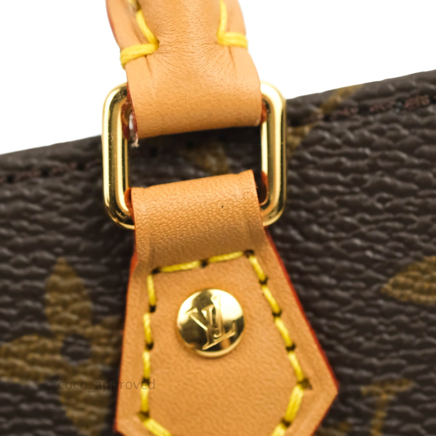 Louis Vuitton Monogram Canvas Petit Sac Plat bag