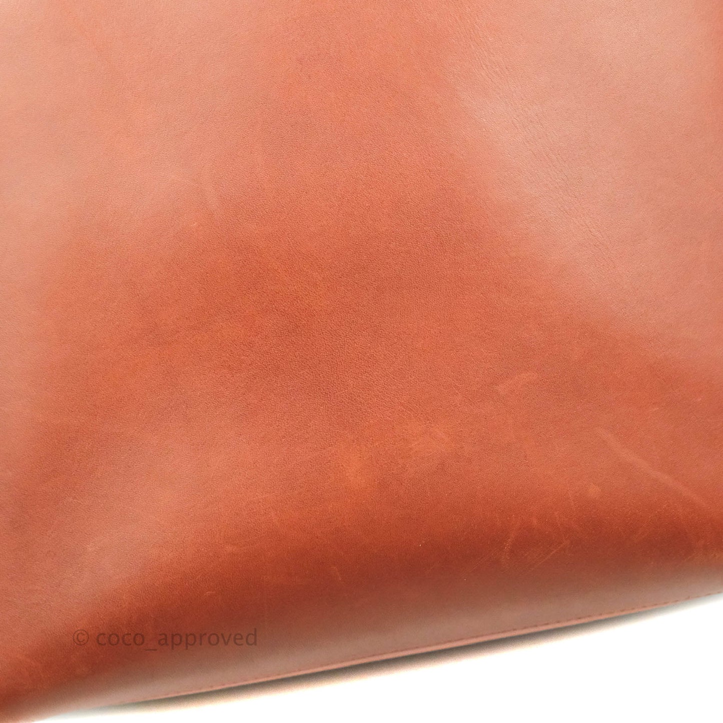 Celine Sangle Bucket Bag Calfskin Brick Red Gold Hardware