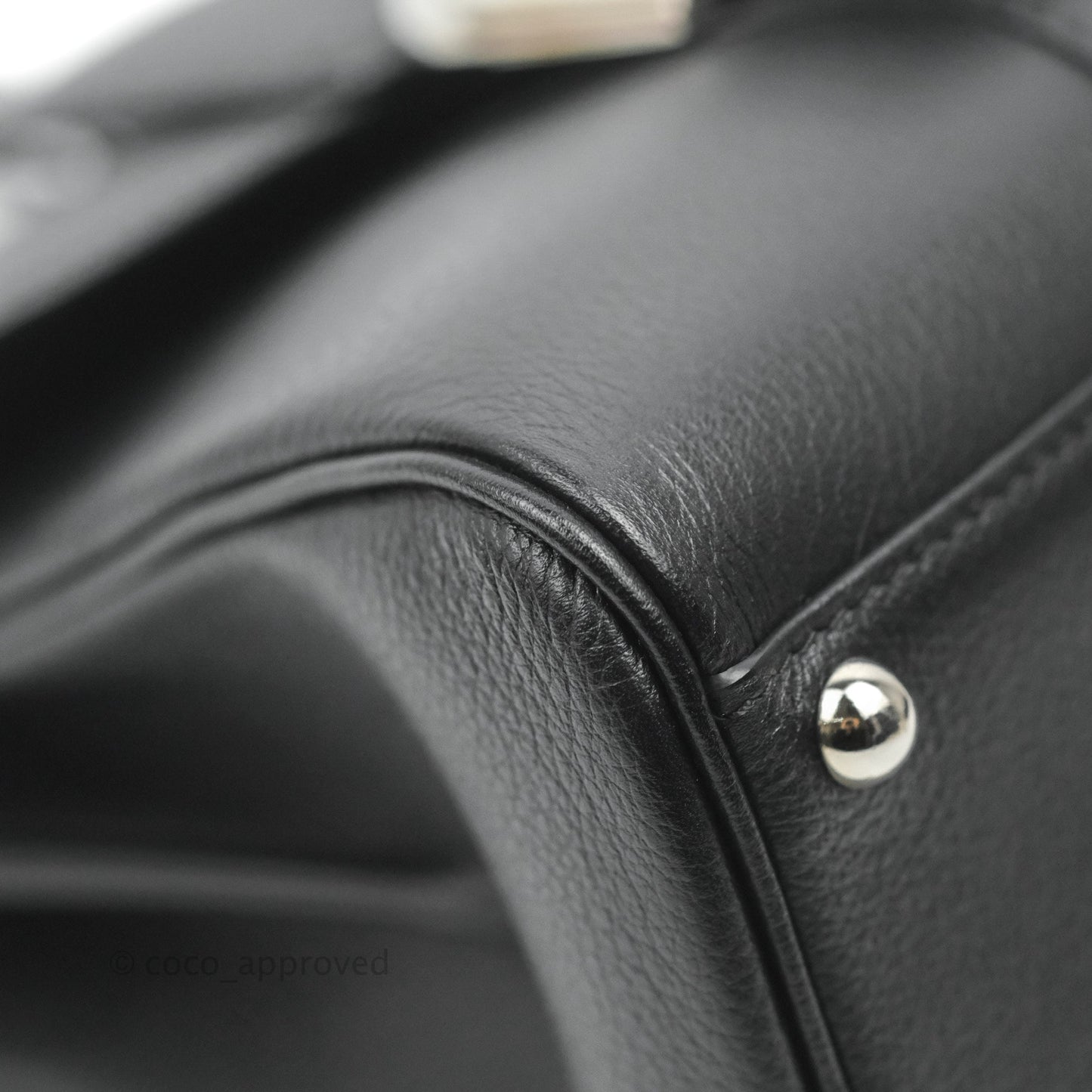 Delvaux Mini Brillant Bag Vegetal Rodeo Calf Silver Hardware