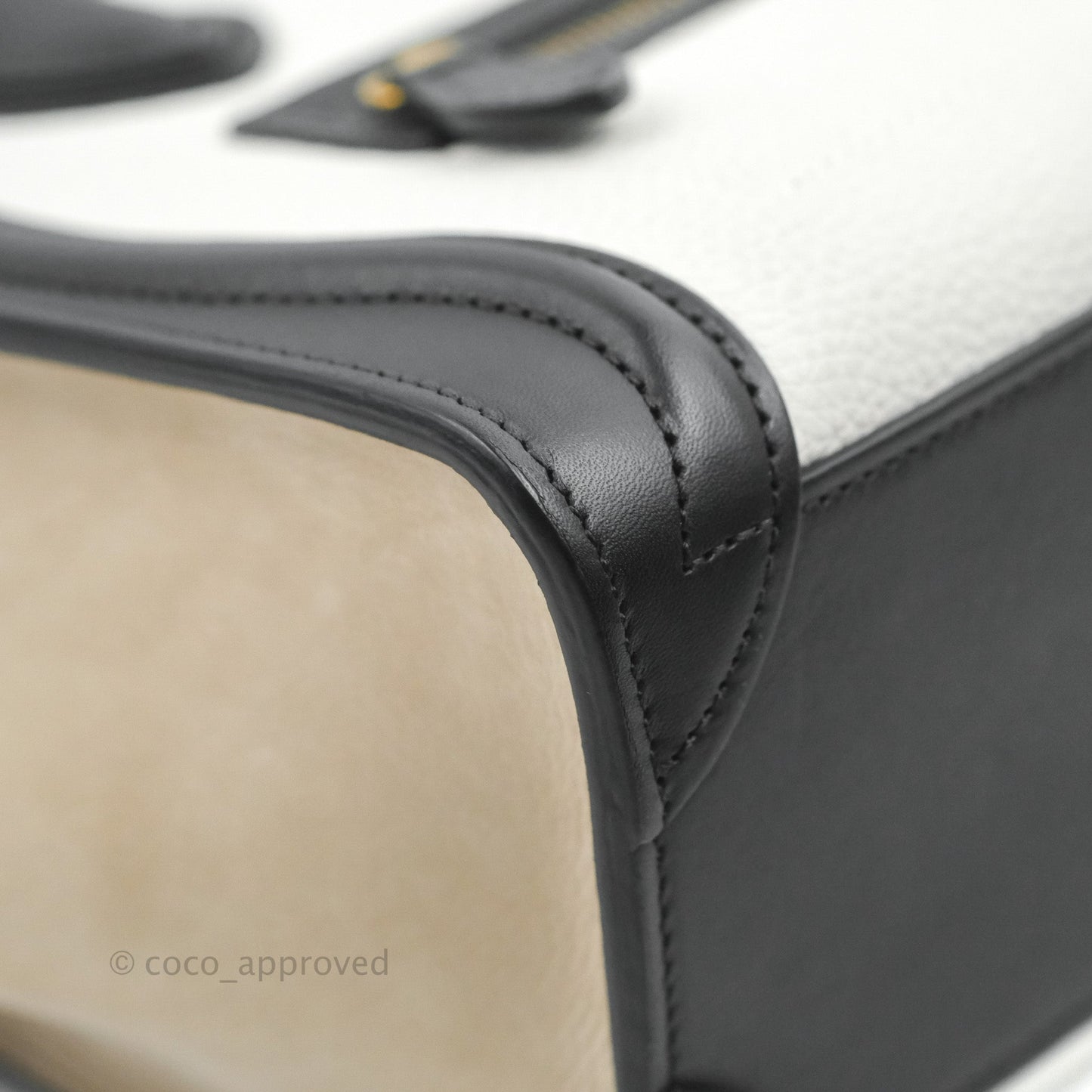 Celine Nano Luggage Bag Tricolour Dune/White/Black Grained Calfskin