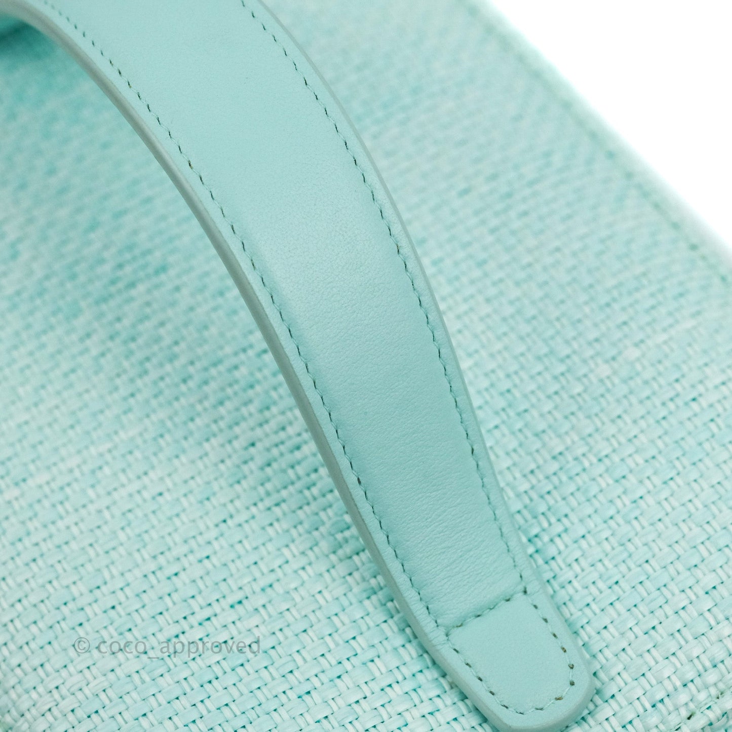 Chanel Deauville Vanity Pouch Mint Raffia Calfskin