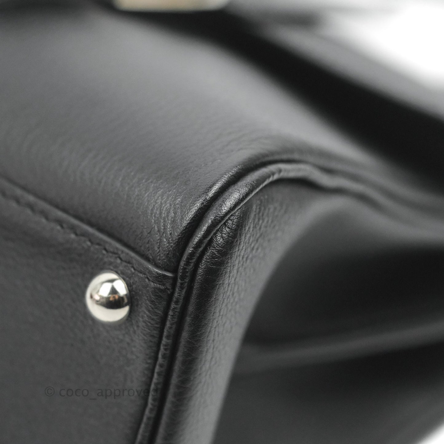 Delvaux Mini Brillant Bag Vegetal Rodeo Calf Silver Hardware