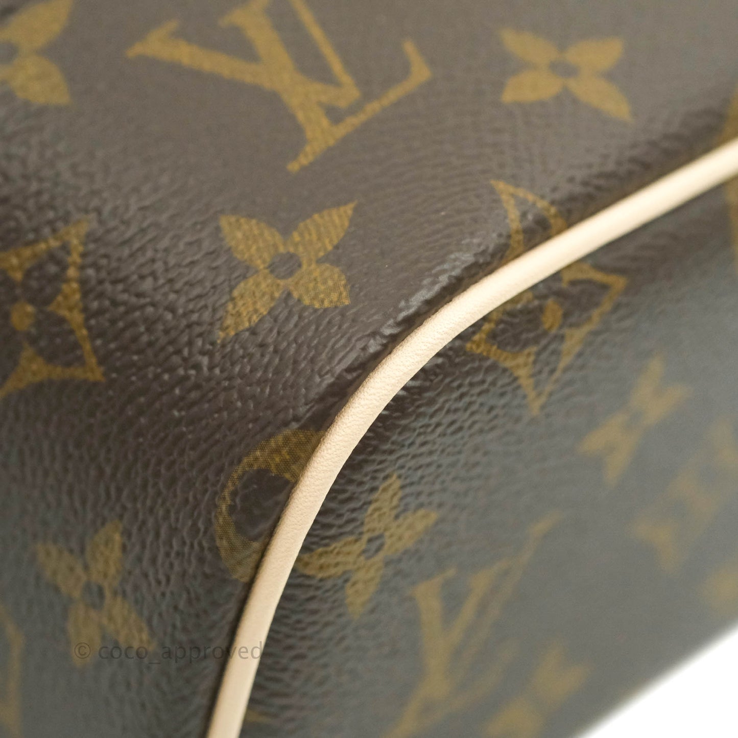 Louis Vuitton Monogram Nice Nano