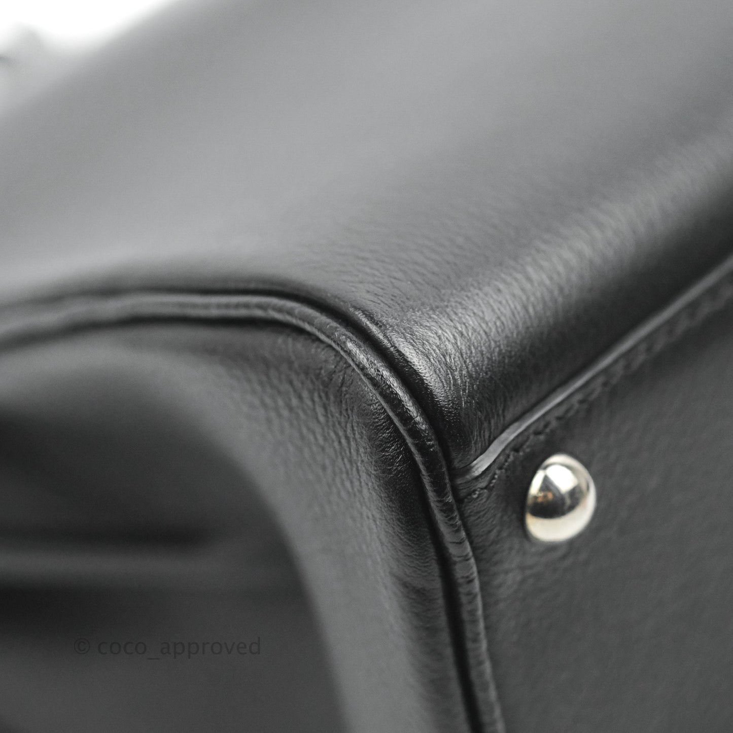 Delvaux Mini Brillant Bag Vegetal Rodeo Calf Silver Hardware