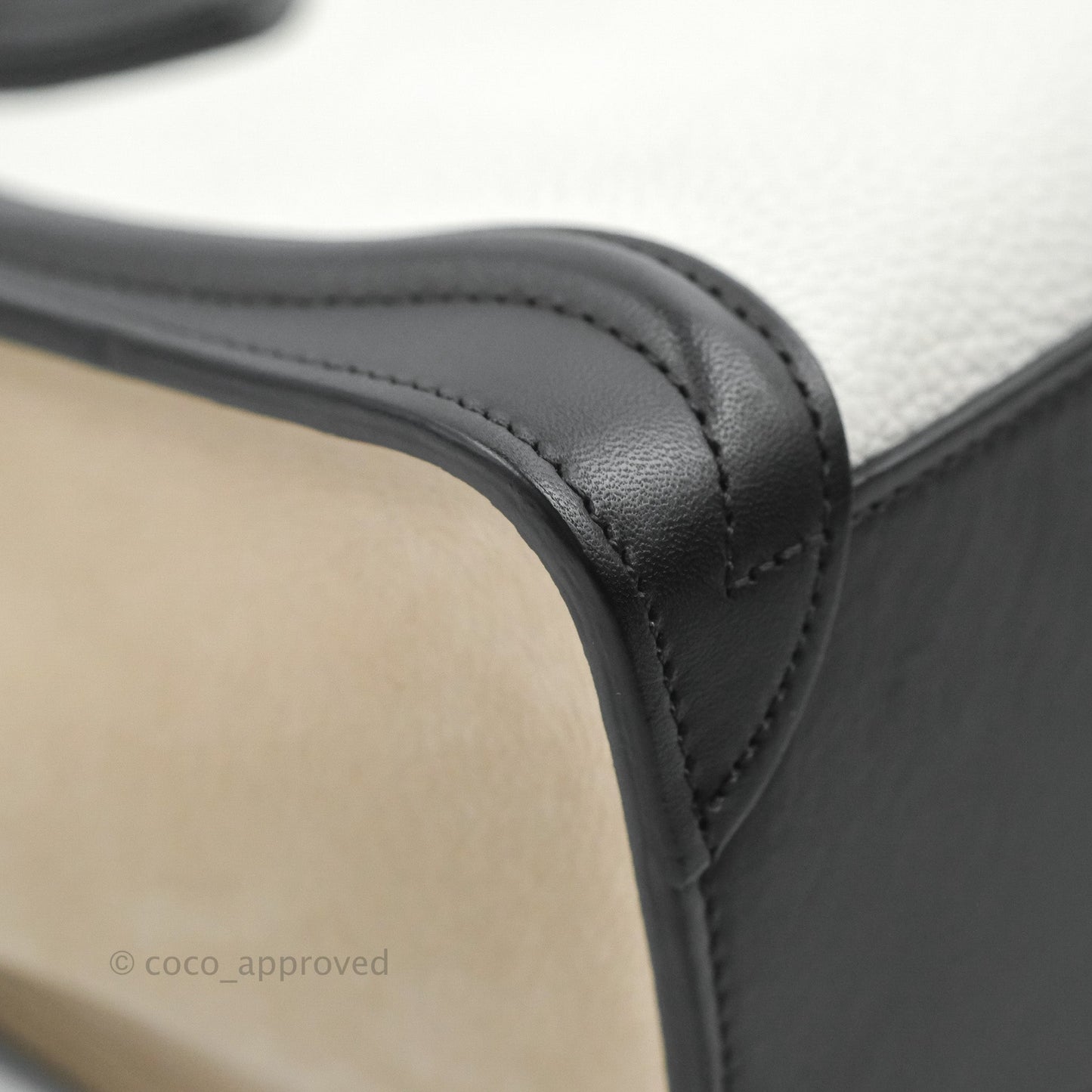 Celine Nano Luggage Bag Tricolour Dune/White/Black Grained Calfskin