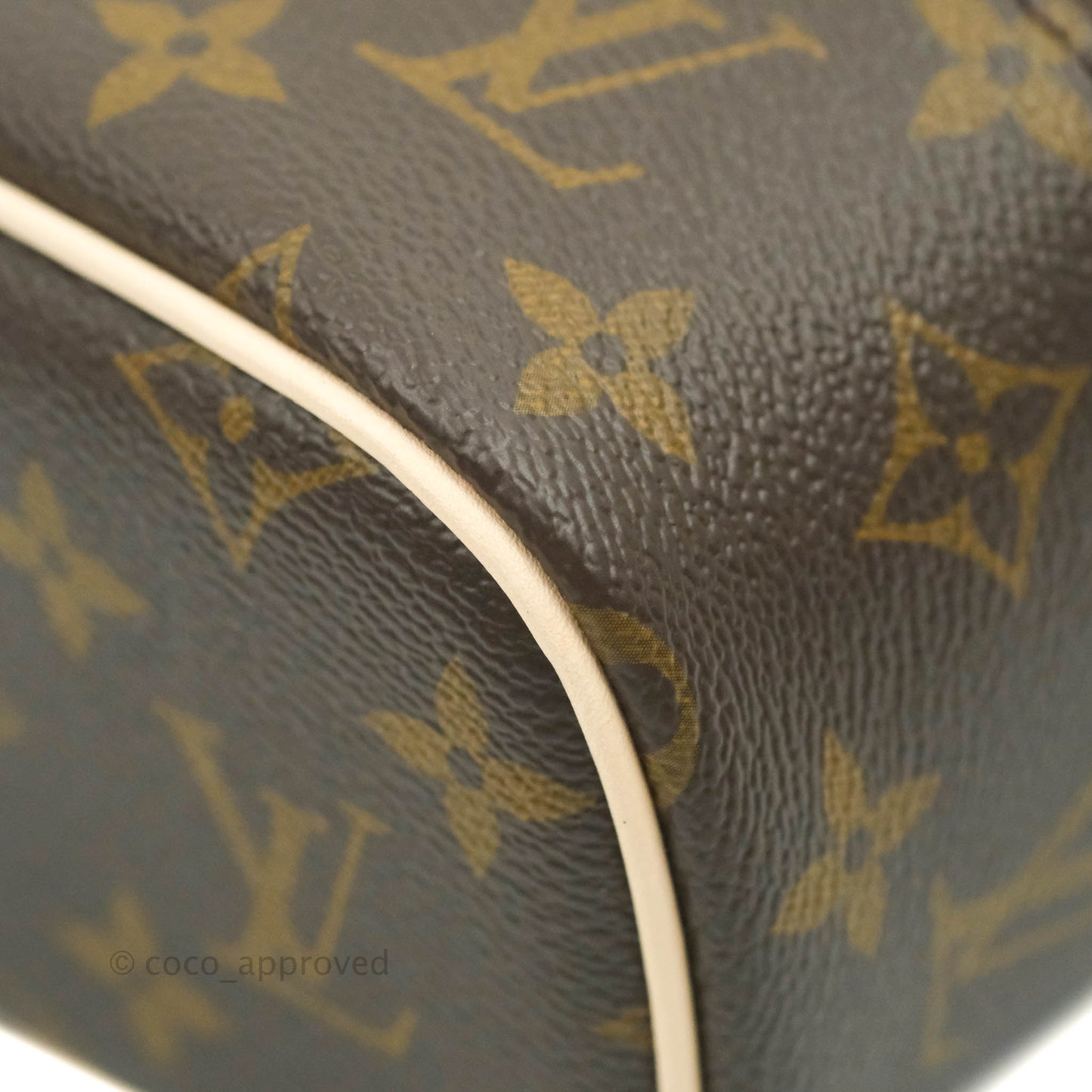 Louis Vuitton Monogram Nice Nano