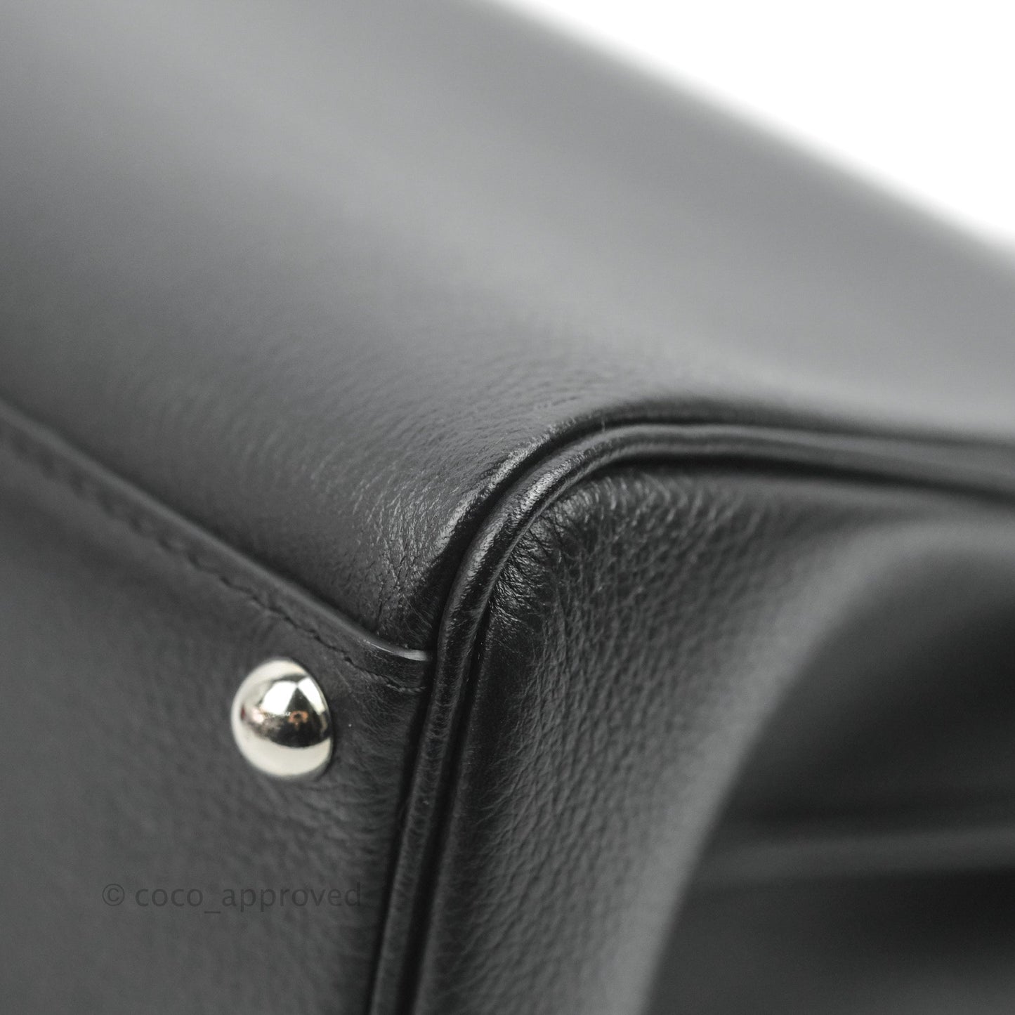 Delvaux Mini Brillant Bag Vegetal Rodeo Calf Silver Hardware