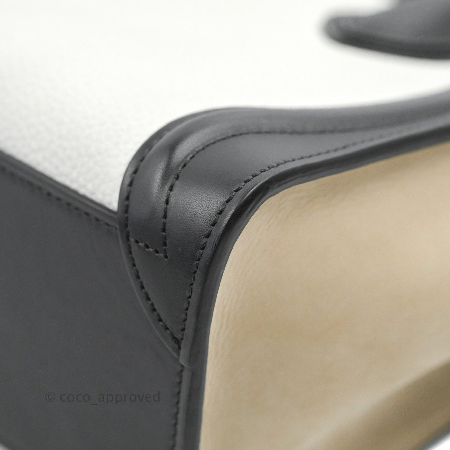 Celine Nano Luggage Bag Tricolour Dune/White/Black Grained Calfskin