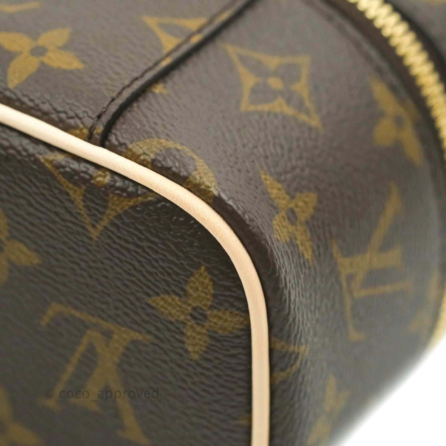 Louis Vuitton Monogram Nice Nano