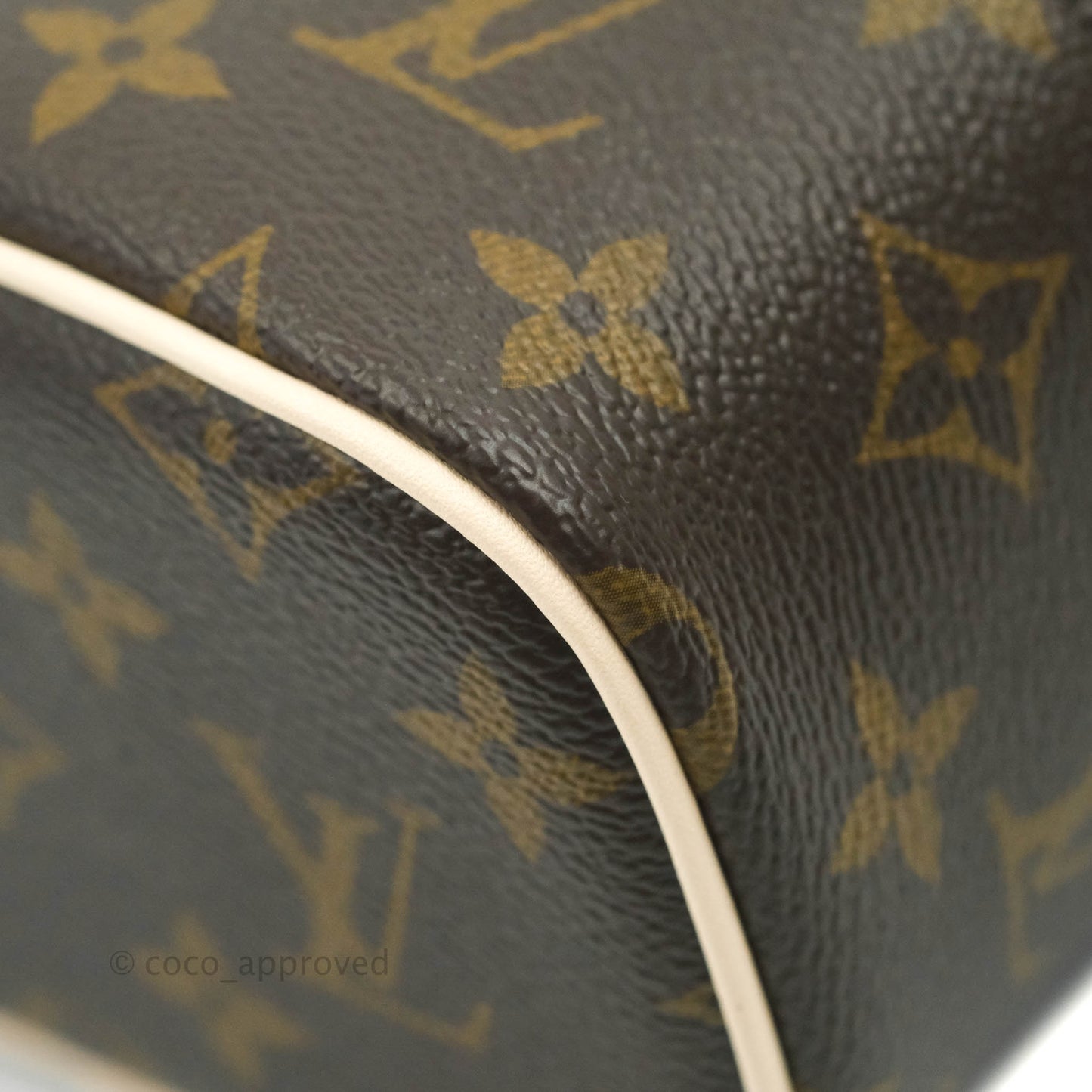 Louis Vuitton Monogram Nice Nano