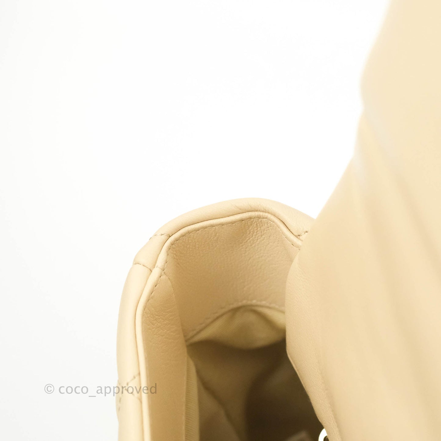 Chanel 19 Medium Beige Goatskin Mixed Hardware 20A