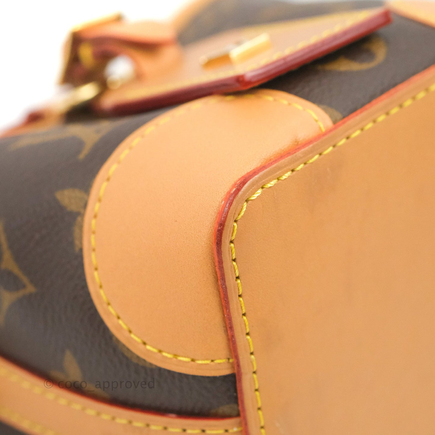 Louis Vuitton Noé Purse Monogram