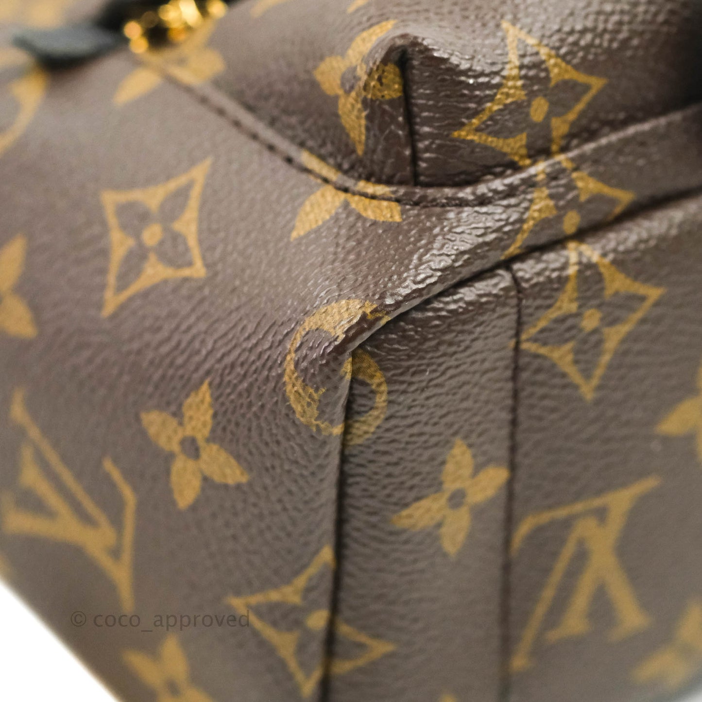 Louis Vuitton Monogram Mini Palm Springs Backpack⁣