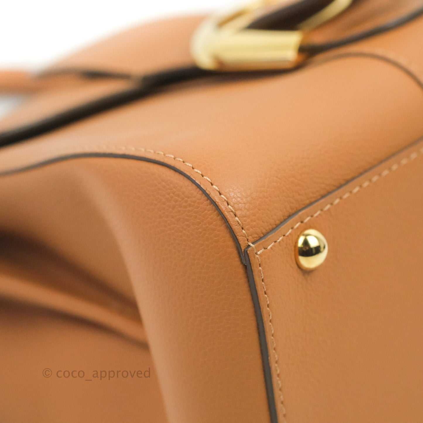 Delvaux Mini Brillant Bag Vegetal Rodeo Calf Gold Hardware