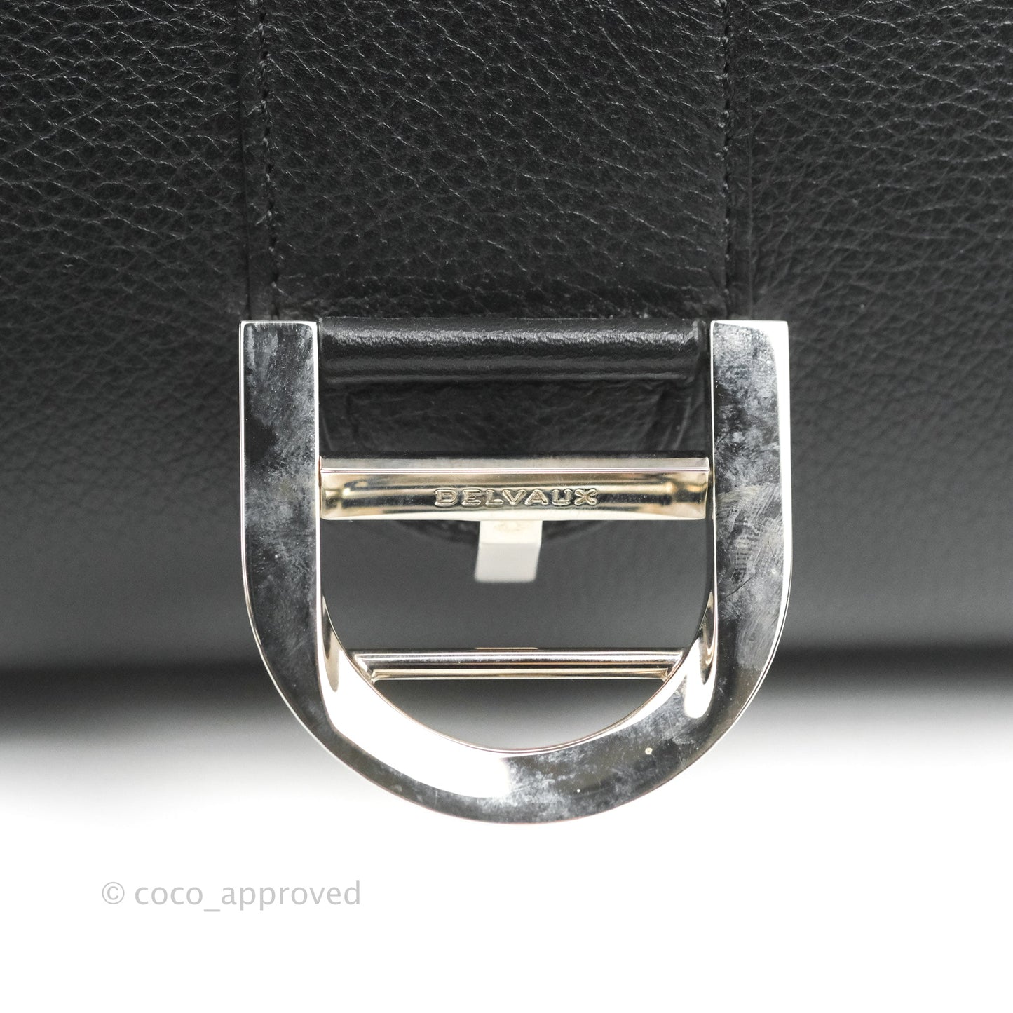 Delvaux Mini Brillant Bag Vegetal Rodeo Calf Silver Hardware
