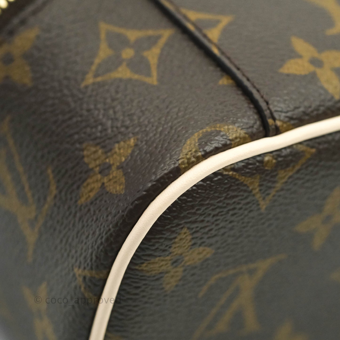 Louis Vuitton Monogram Nice Nano