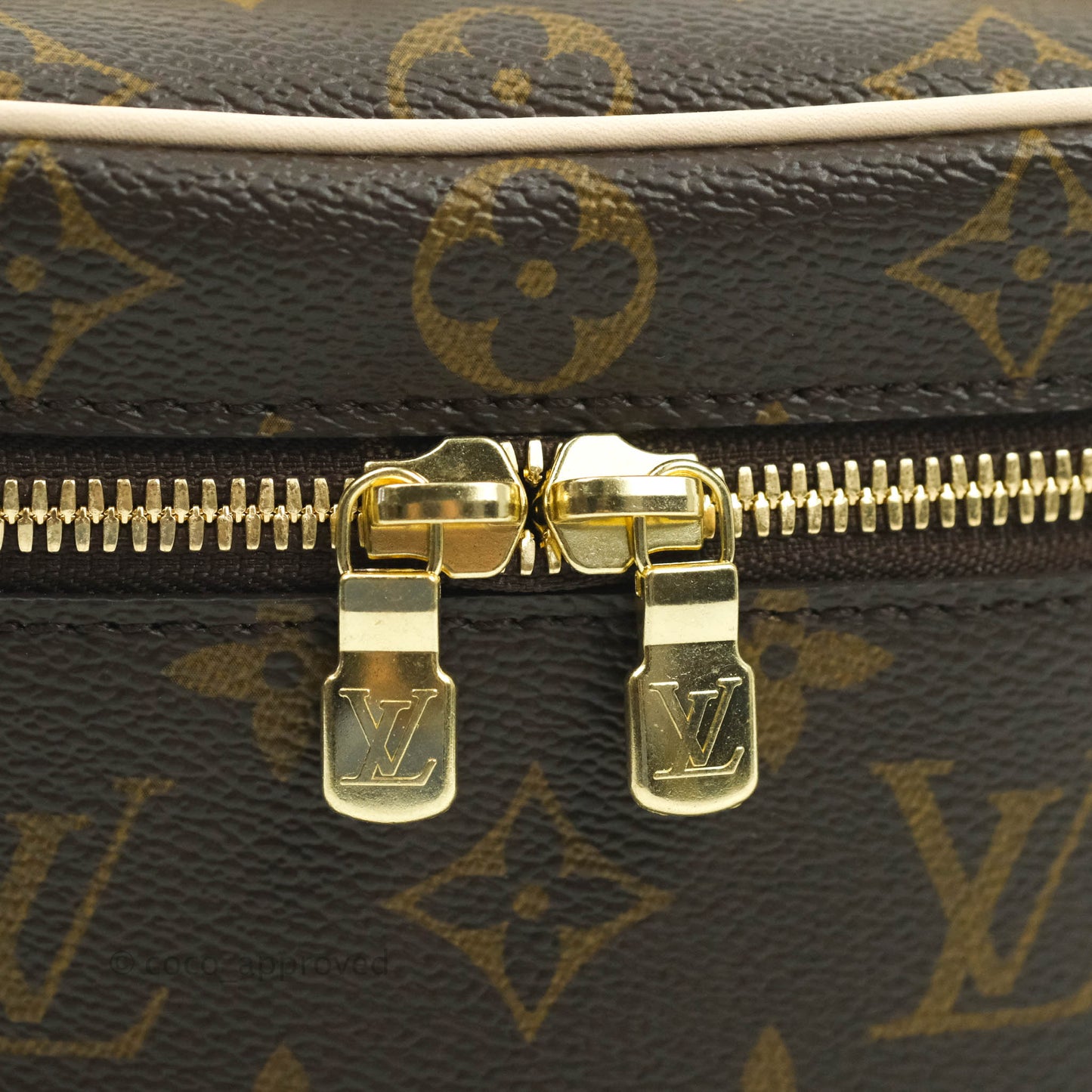 Louis Vuitton Monogram Nice Nano