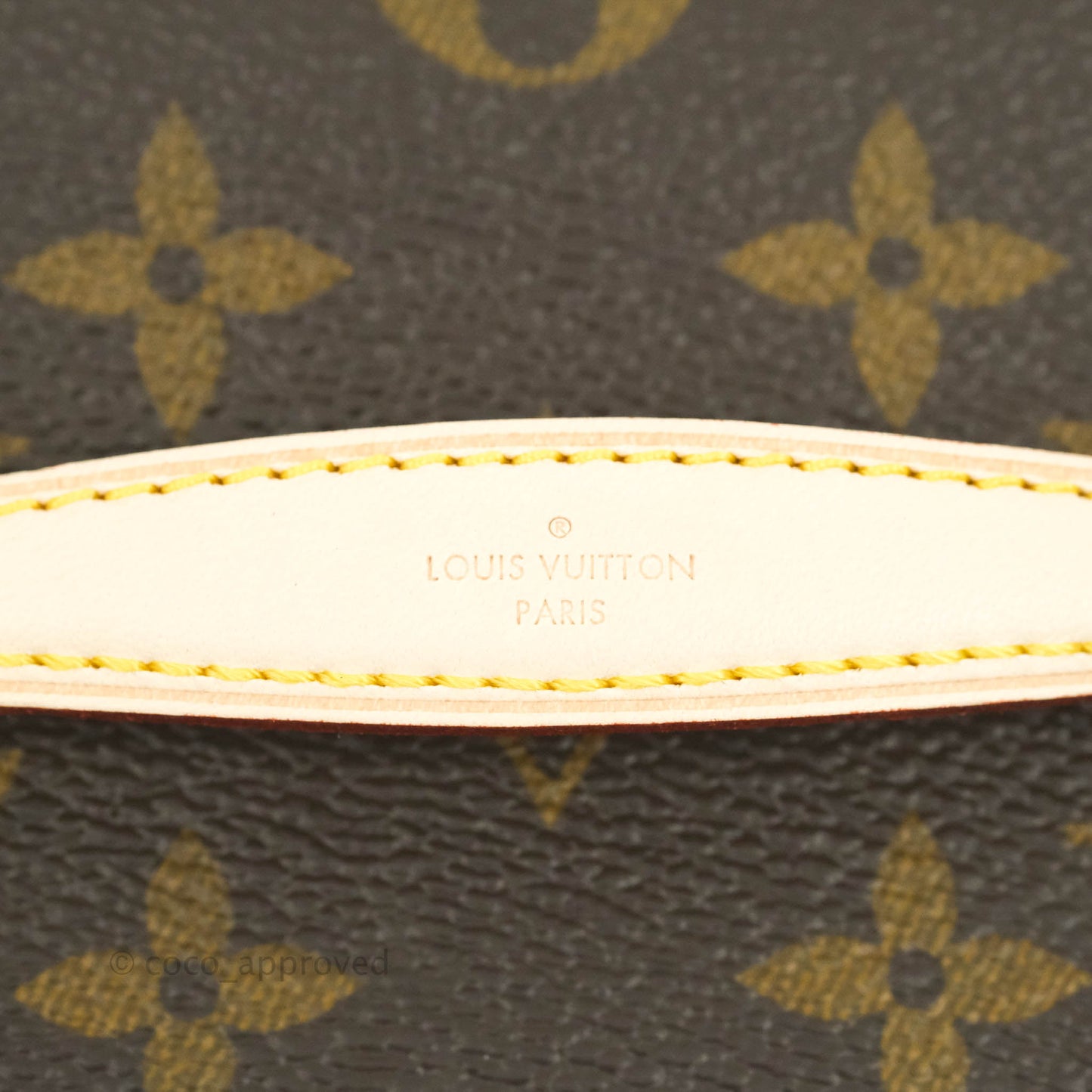 Louis Vuitton Monogram Nice Nano