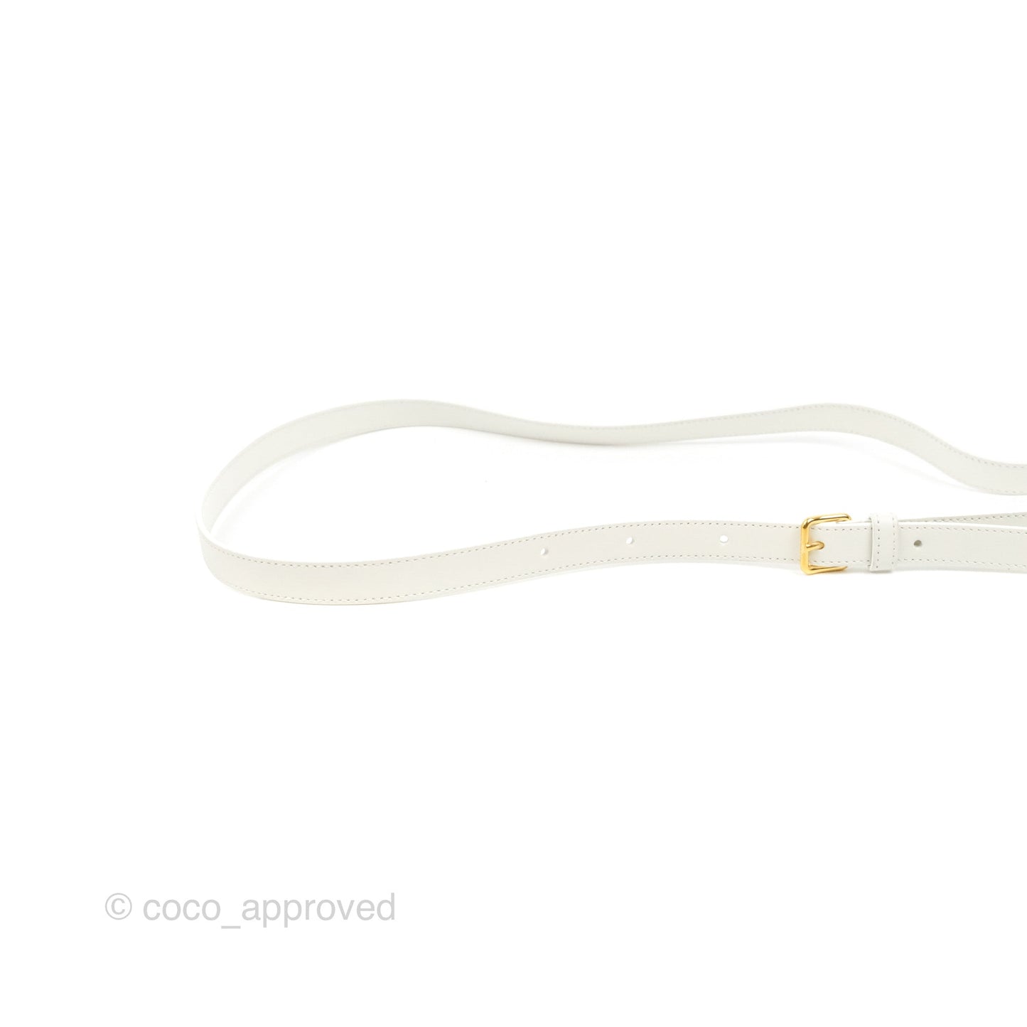 Celine Round Purse on Strap Triomphe Canvas White Calfskin