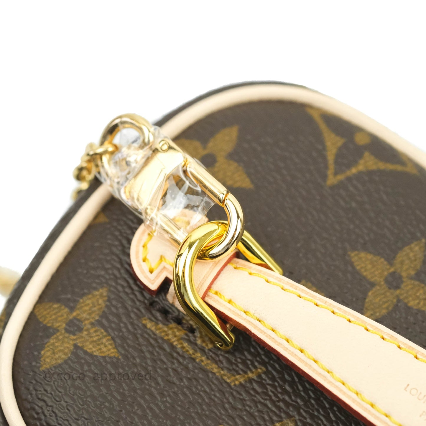 Louis Vuitton Monogram Nice Nano