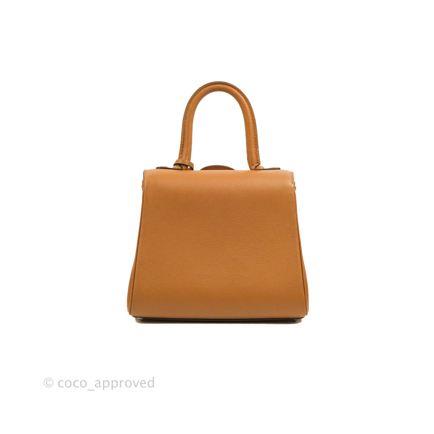 Delvaux Mini Brillant Bag Vegetal Rodeo Calf Gold Hardware