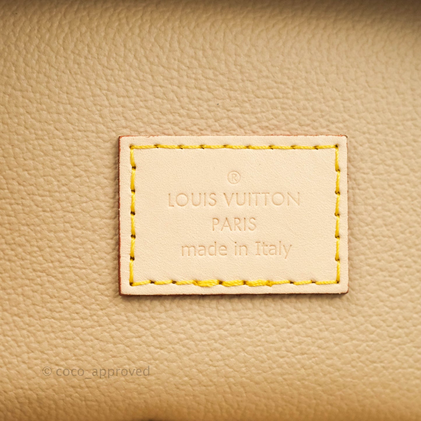 Louis Vuitton Monogram Nice Nano