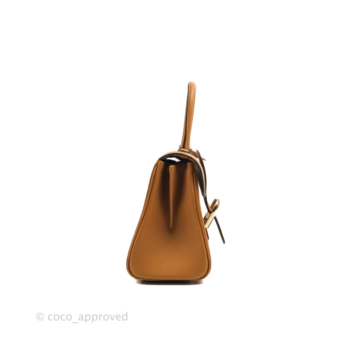 Delvaux Mini Brillant Bag Vegetal Rodeo Calf Gold Hardware