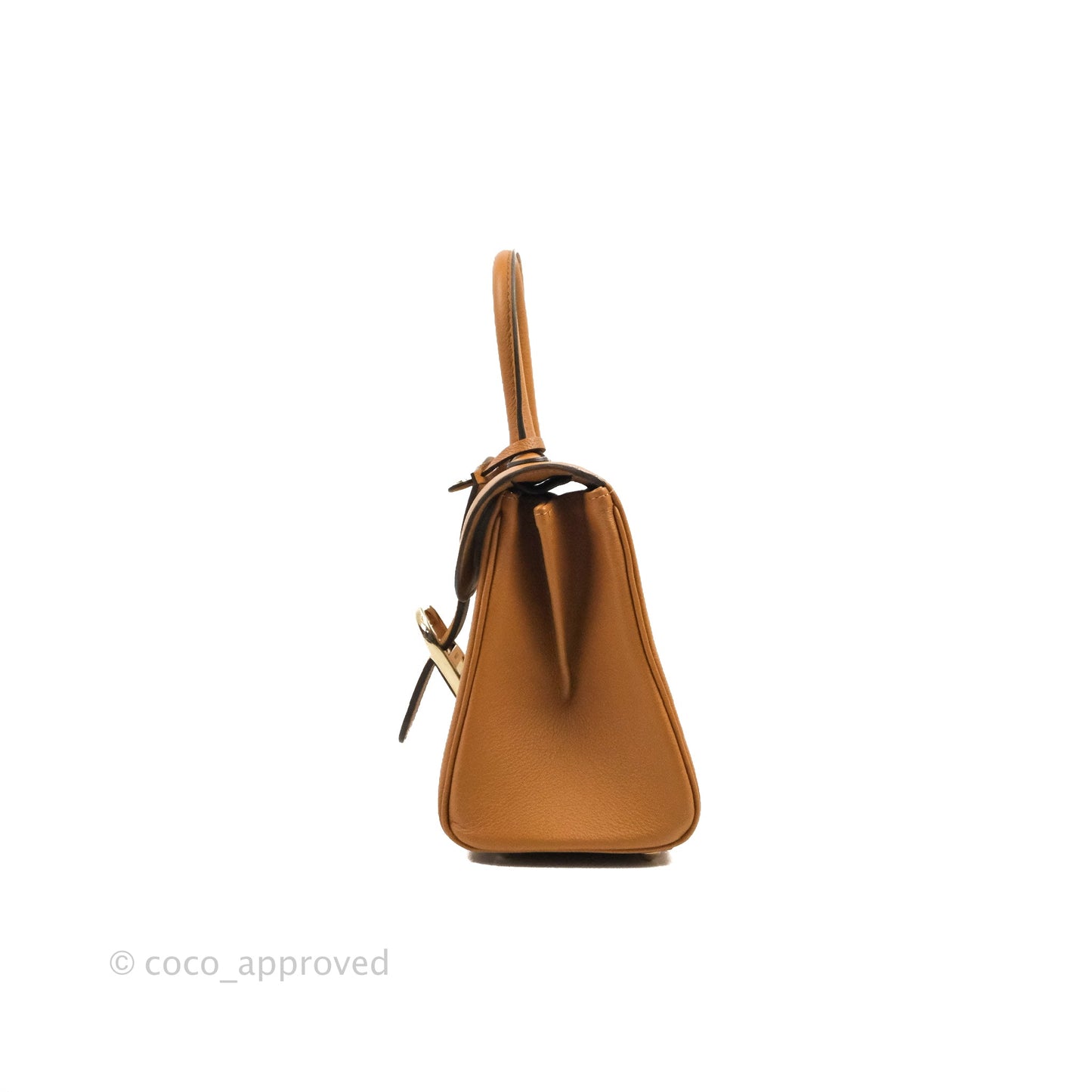 Delvaux Mini Brillant Bag Vegetal Rodeo Calf Gold Hardware