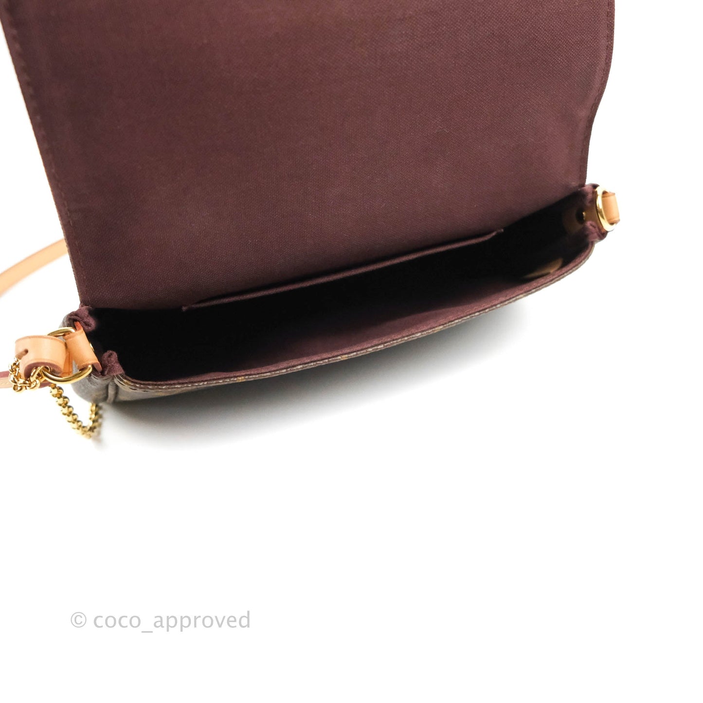 Louis Vuitton Favourite Bag PM Monogram