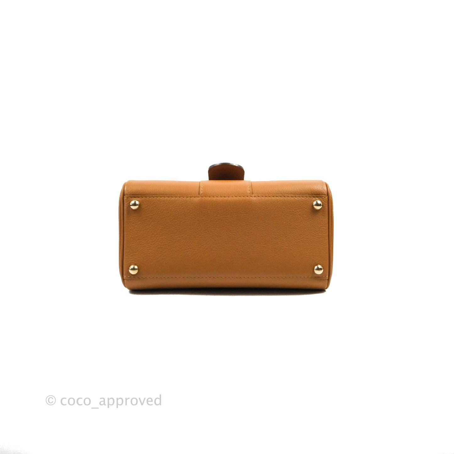 Delvaux Mini Brillant Bag Vegetal Rodeo Calf Gold Hardware
