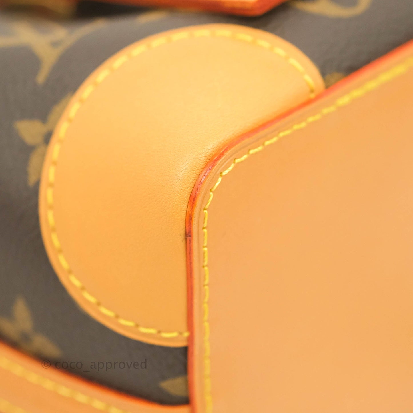 Louis Vuitton Monogram Noé Purse