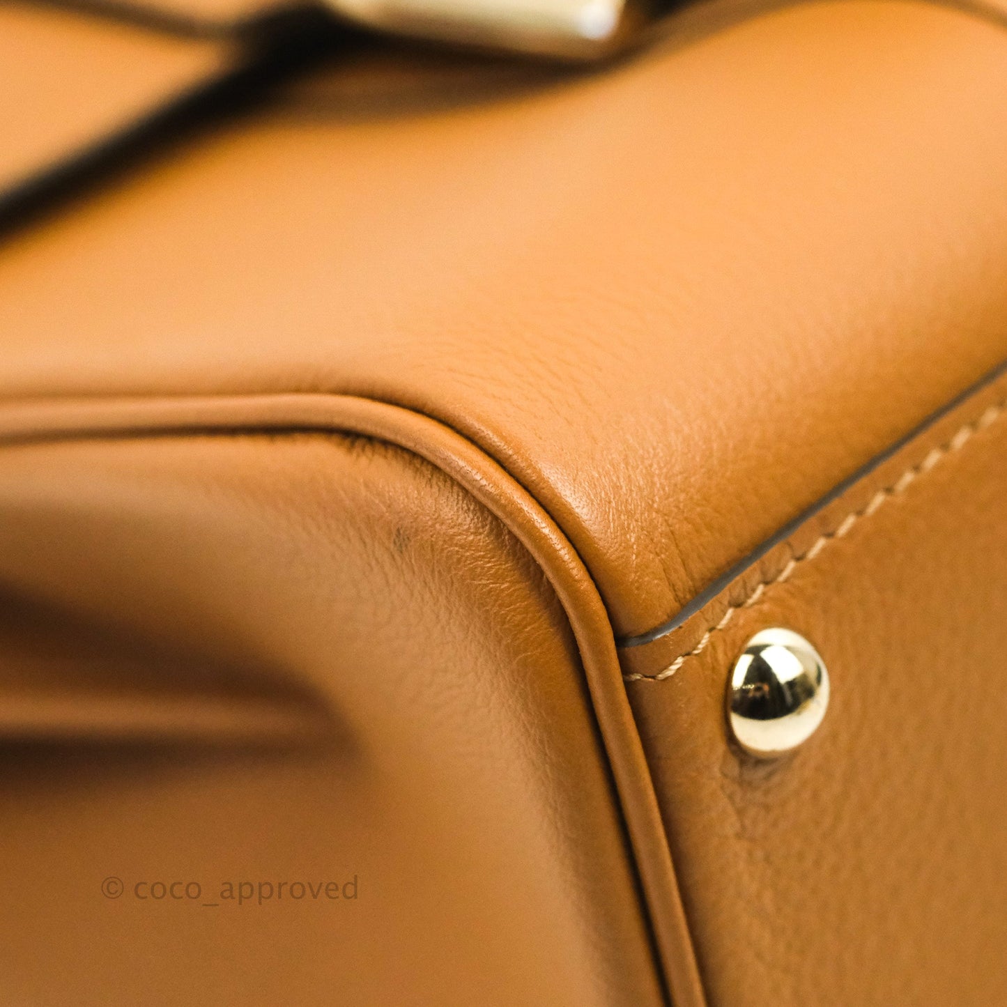 Delvaux Mini Brillant Bag Vegetal Rodeo Calf Gold Hardware