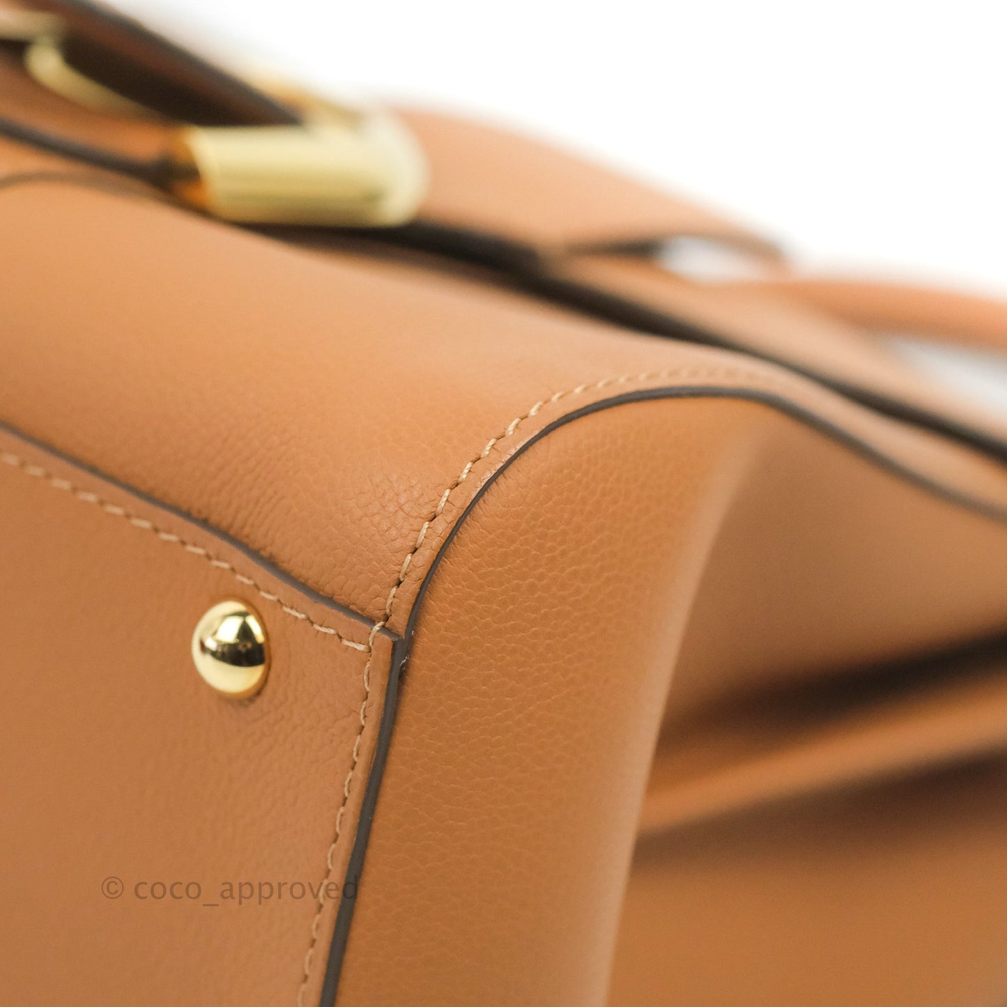 Delvaux Mini Brillant Bag Vegetal Rodeo Calf Gold Hardware