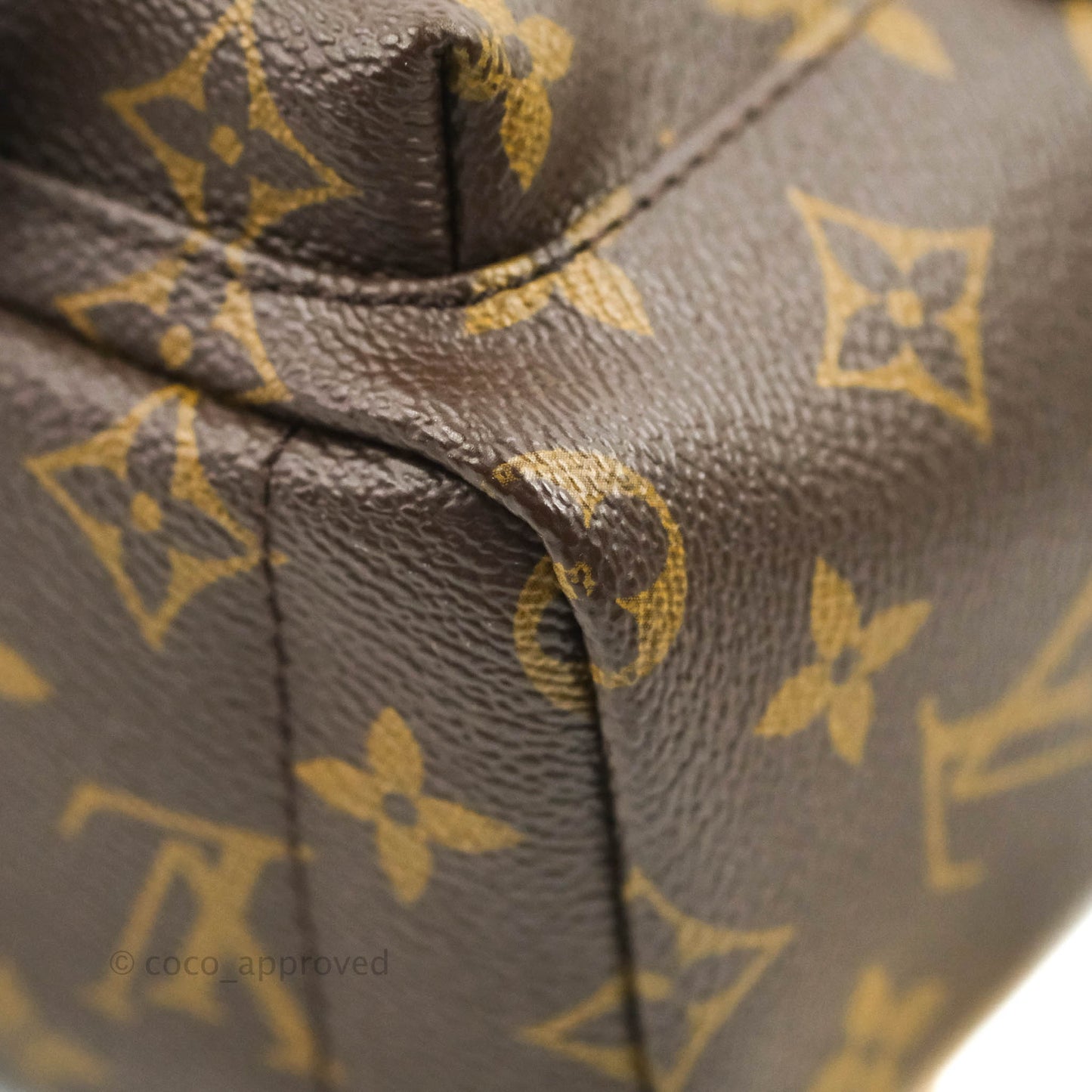 Louis Vuitton Monogram Mini Palm Springs Backpack⁣