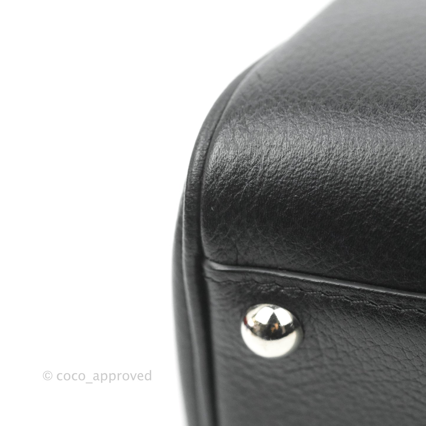 Delvaux Mini Brillant Bag Vegetal Rodeo Calf Silver Hardware