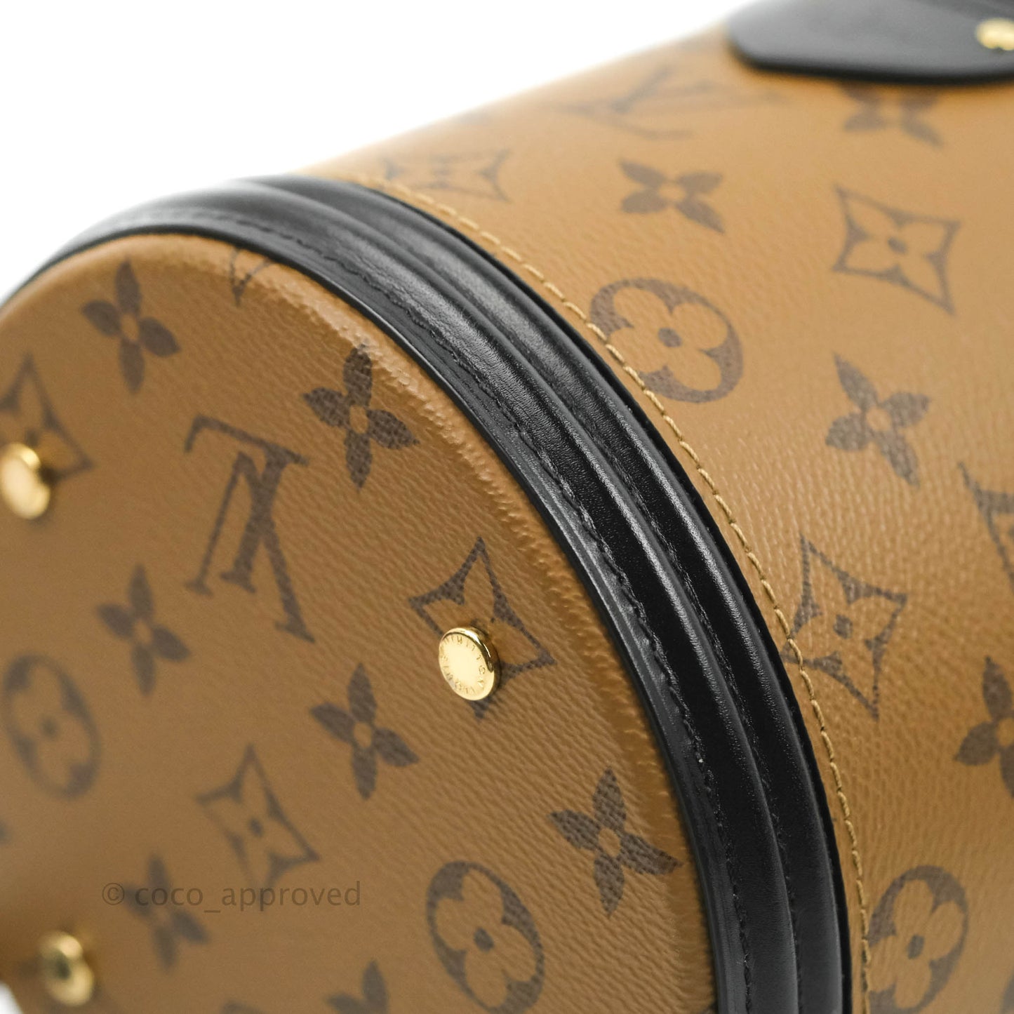 Louis Vuitton Monogram Canvas Reverse Cannes Bag