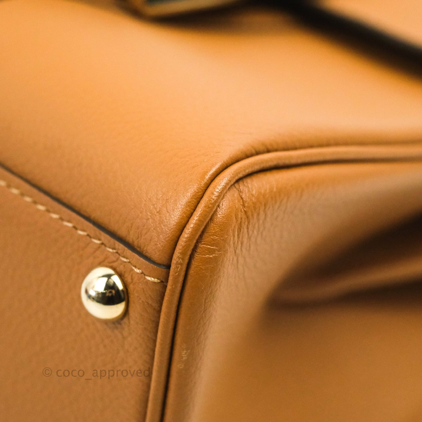 Delvaux Mini Brillant Bag Vegetal Rodeo Calf Gold Hardware